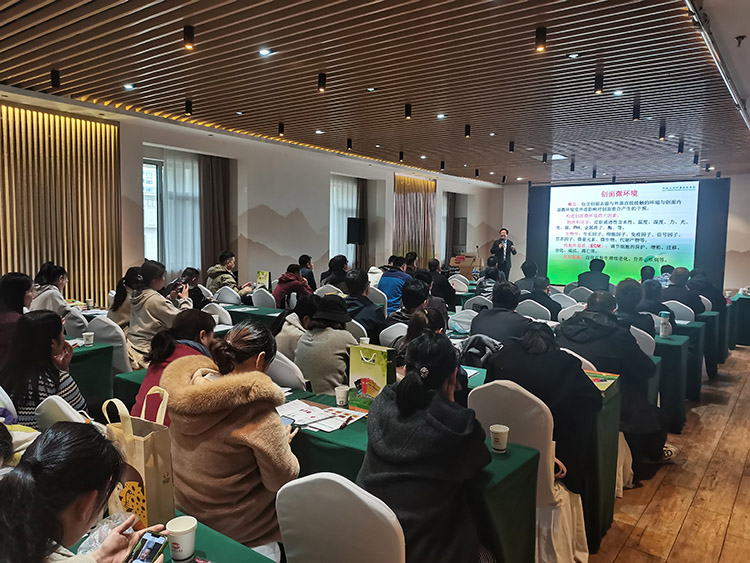 k8凯发(中国游)官方网站-APP下载