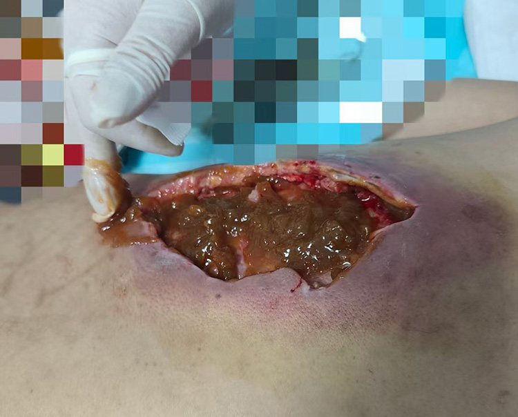 k8凯发(中国游)官方网站-APP下载