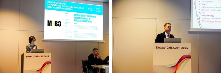 k8凯发(中国游)官方网站-APP下载