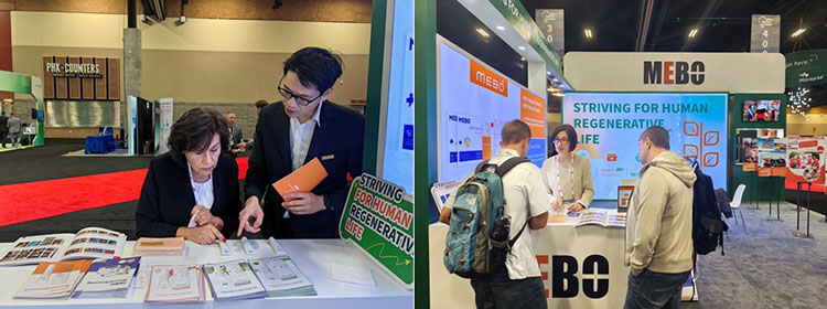 k8凯发(中国游)官方网站-APP下载