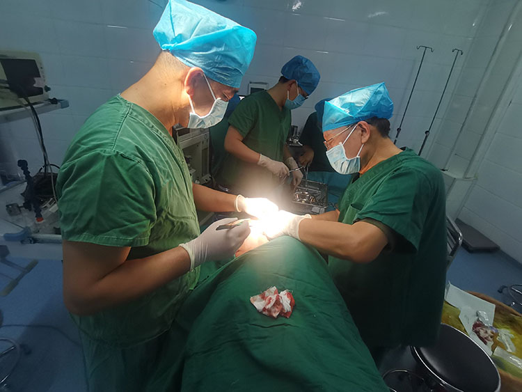 k8凯发(中国游)官方网站-APP下载