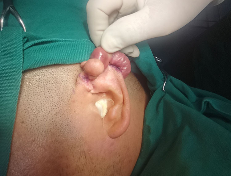 k8凯发(中国游)官方网站-APP下载