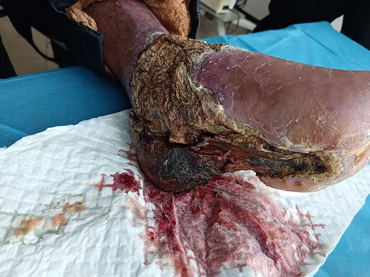 k8凯发(中国游)官方网站-APP下载