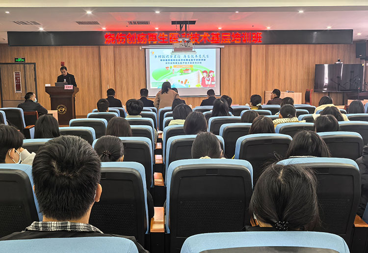 k8凯发(中国游)官方网站-APP下载