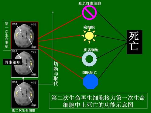 k8凯发(中国游)官方网站-APP下载