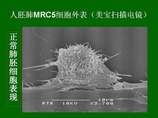 k8凯发(中国游)官方网站-APP下载