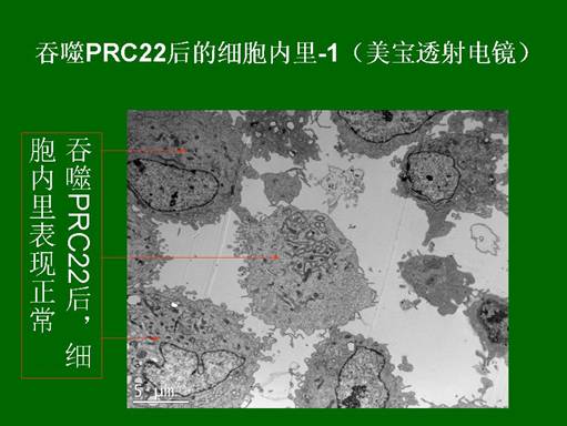 k8凯发(中国游)官方网站-APP下载