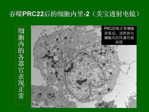 k8凯发(中国游)官方网站-APP下载