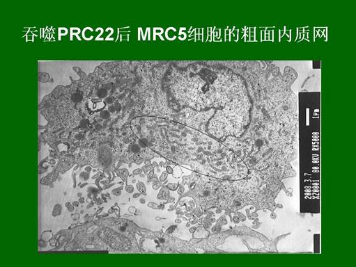 k8凯发(中国游)官方网站-APP下载