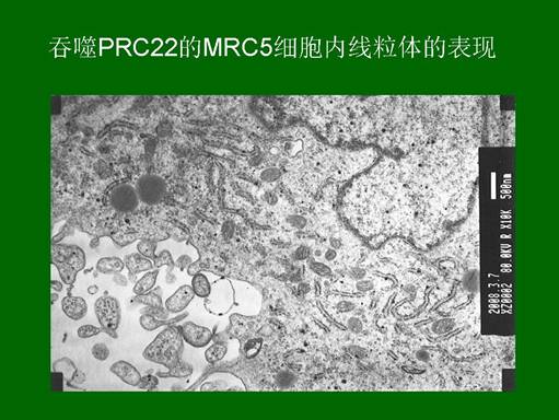 k8凯发(中国游)官方网站-APP下载