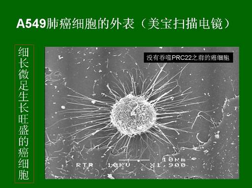 k8凯发(中国游)官方网站-APP下载
