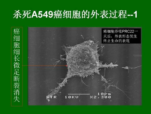 k8凯发(中国游)官方网站-APP下载