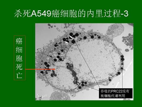 k8凯发(中国游)官方网站-APP下载