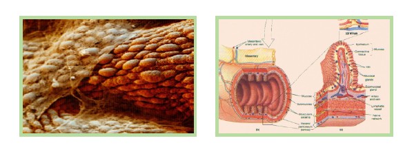 k8凯发(中国游)官方网站-APP下载