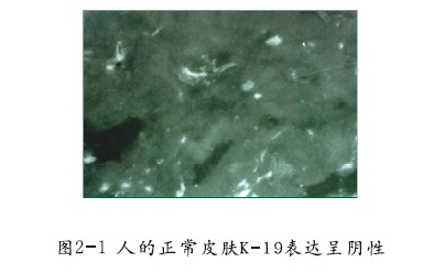 k8凯发(中国游)官方网站-APP下载