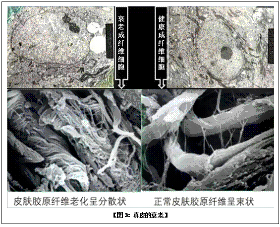 k8凯发(中国游)官方网站-APP下载