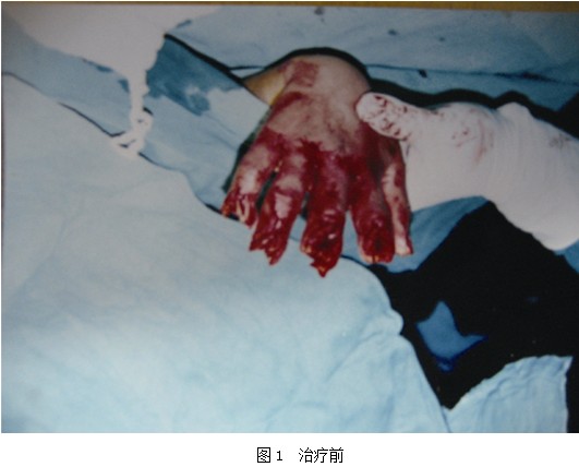 k8凯发(中国游)官方网站-APP下载