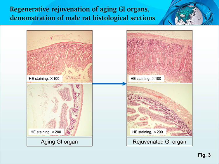 k8凯发(中国游)官方网站-APP下载