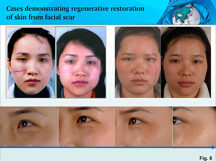 k8凯发(中国游)官方网站-APP下载