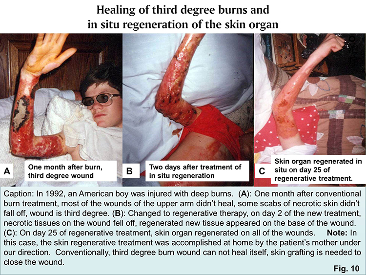 k8凯发(中国游)官方网站-APP下载