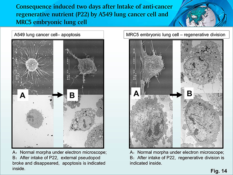 k8凯发(中国游)官方网站-APP下载