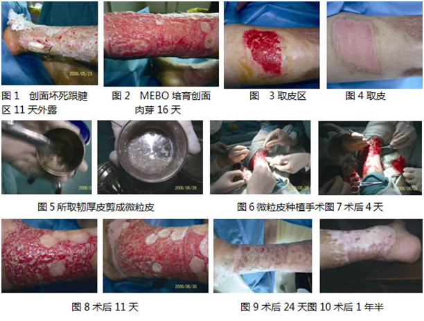 k8凯发(中国游)官方网站-APP下载