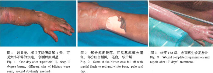 k8凯发(中国游)官方网站-APP下载