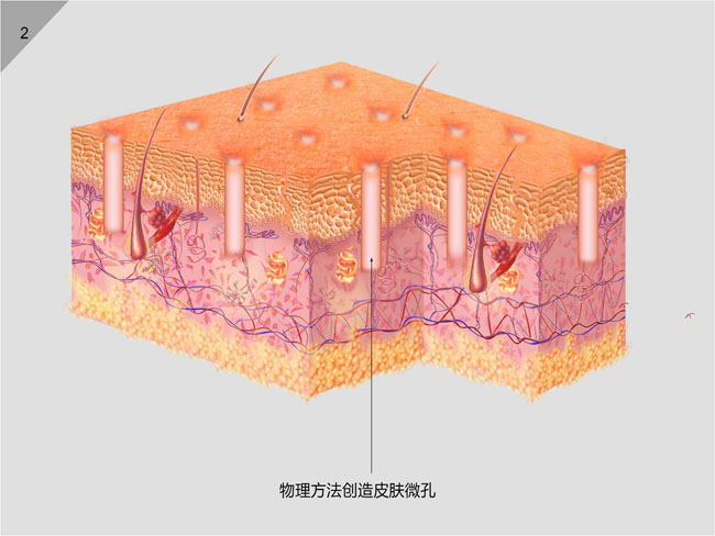 k8凯发(中国游)官方网站-APP下载