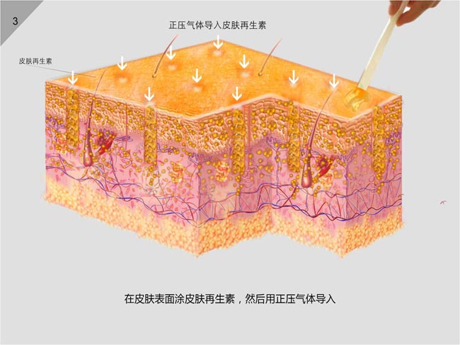 k8凯发(中国游)官方网站-APP下载