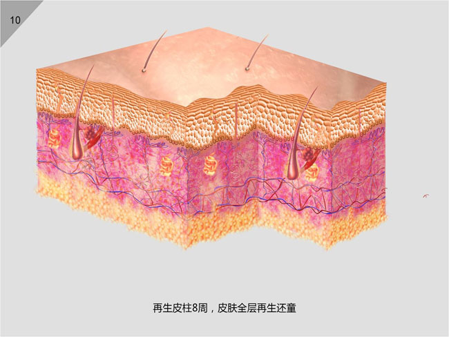 k8凯发(中国游)官方网站-APP下载