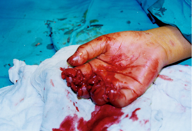 k8凯发(中国游)官方网站-APP下载