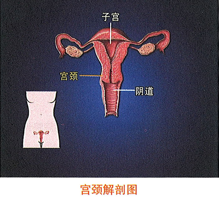 k8凯发(中国游)官方网站-APP下载