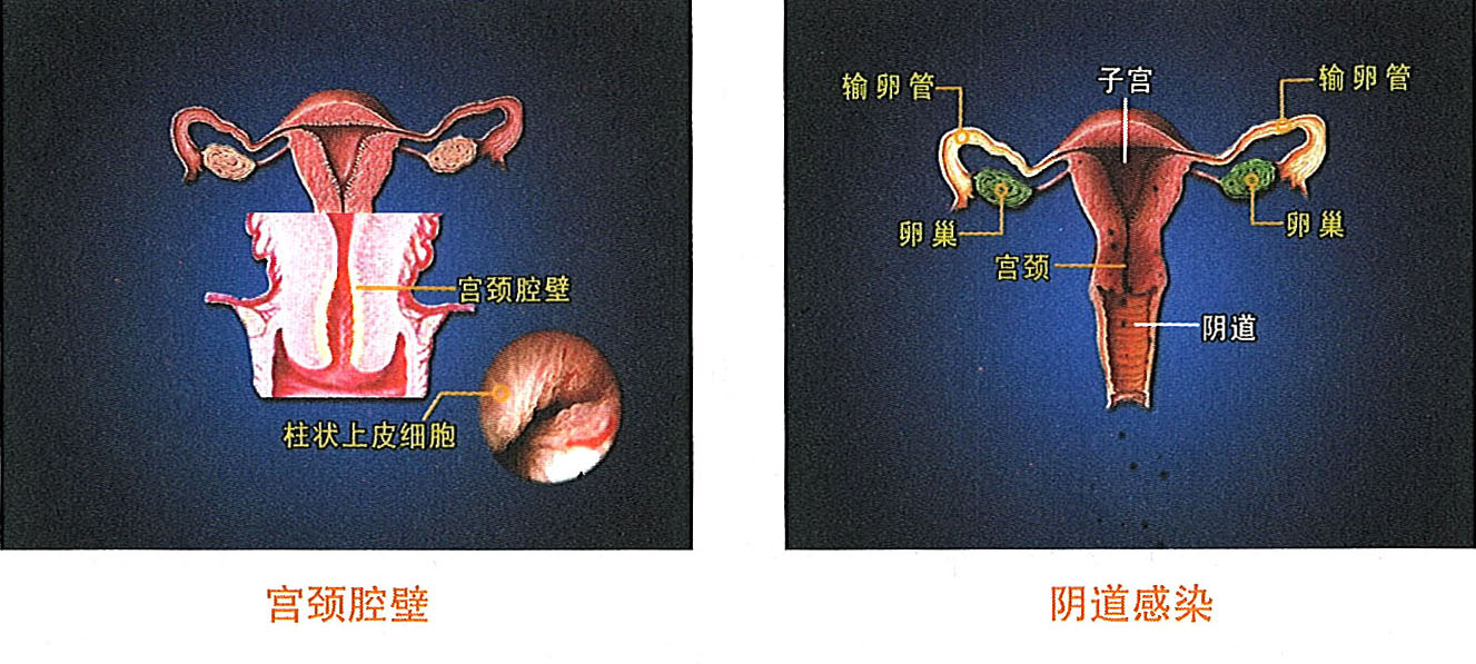 k8凯发(中国游)官方网站-APP下载