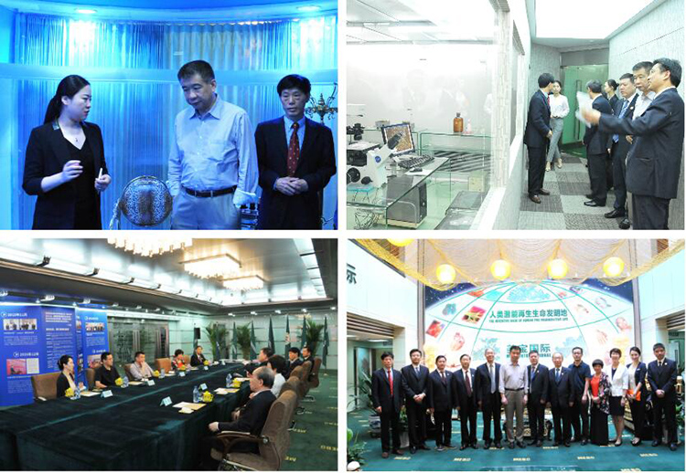 k8凯发(中国游)官方网站-APP下载